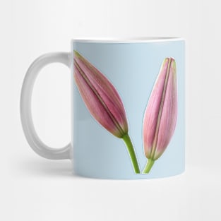 Lilium  &#39;Rosella&#39;s Dream&#39;  Asiatic lily  Flower bud Mug